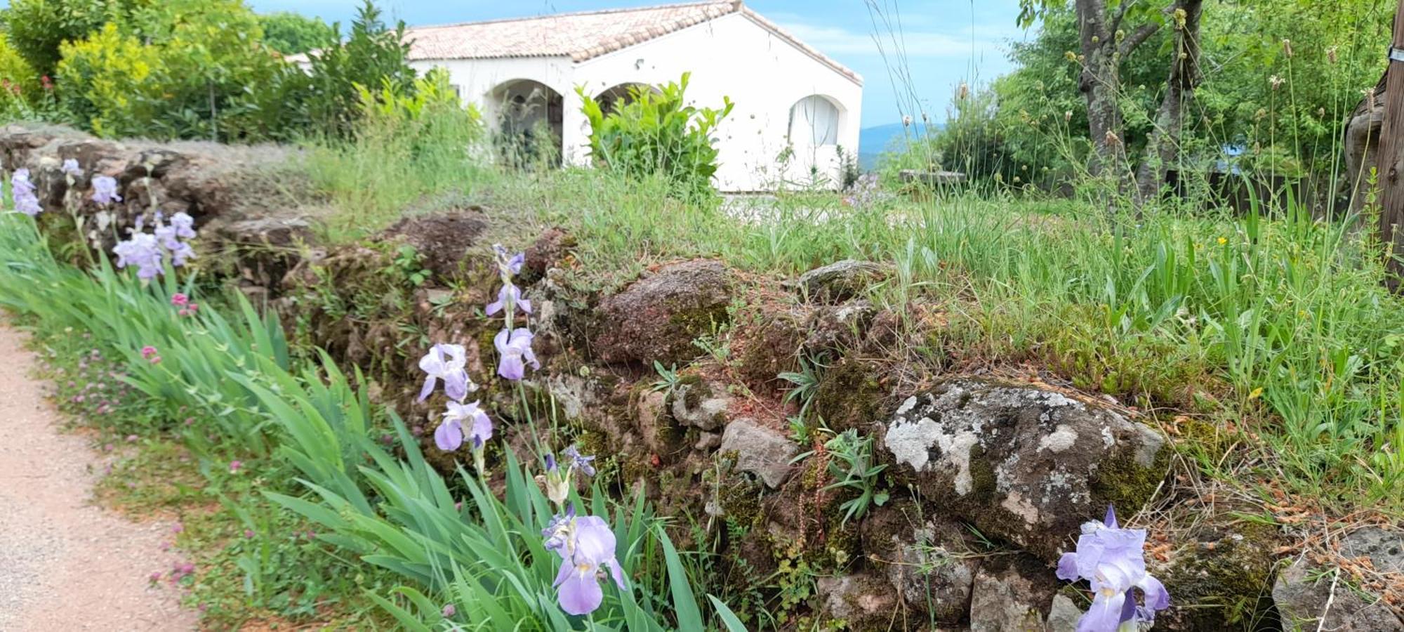 Le Chausse A Bres Chambre D'Hotes 1 Payzac  Exterior foto